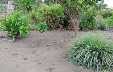 Imagem: A casa possui 2 Dormitórios, 1 Banheiro, 1 Vaga na garagem