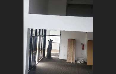 Imagem 15: Ponto comercial. 387m² de Áreae5 Vagas na garagem