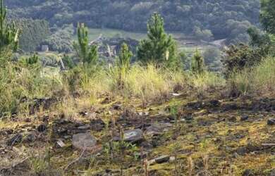 Imagem 5: CAXIAS DO SUL - Terreno Padrão - Ana Rech