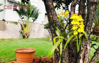 Imagem 13: Residencial - Jundiai Mirim