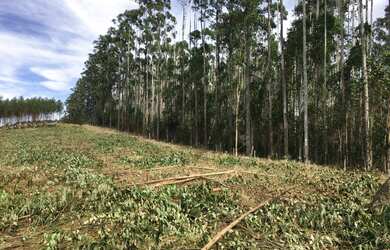Imagem 11: Terreno maravilhoso. 1.000m² de Área