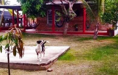 Imagem 4: vendoalugooutroco. 741m² de Área, 4 Vagas na garageme2 Dormitórios