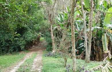 Imagem 2: Lindo Sítio no Bairro da Maravilha - Paty do Alferes/RJ