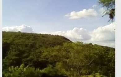 Imagem 6: Umbuzeiro/PB 65 Ha Por Apenas R$ 110 mil. Pechincha Total