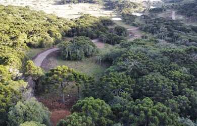 Imagem 7: Terreno de 2 hectare em Urubici