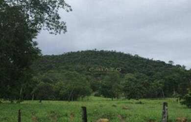 Imagem 10: Fazenda à venda, 45 Alqueires por R$ 7.000.000 - Zona Rural - Pirenópolis/GO