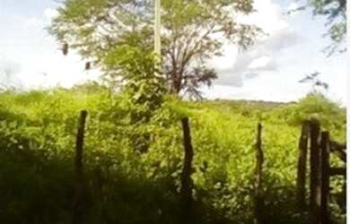 Imagem 7: Umbuzeiro/PB 65 Ha Por Apenas R$ 110 mil. Pechincha Total