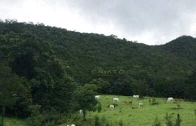 Imagem 13: Fazenda à venda, 45 Alqueires por R$ 7.000.000 - Zona Rural - Pirenópolis/GO