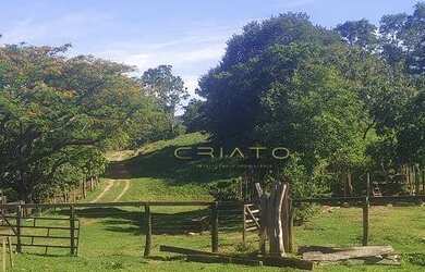 Imagem 6: Fazenda à venda, 45 Alqueires por R$ 7.000.000 - Zona Rural - Pirenópolis/GO