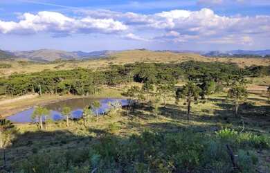 Imagem 6: Terreno de 2 hectare em Urubici