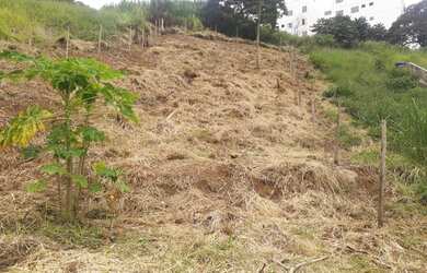 Imagem 10: Terreno à venda, 338 m² por R$ 225.000,00 - Lourdes - Juiz de Fora/MG