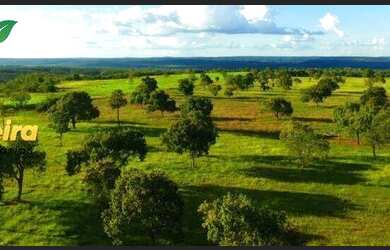 Imagem: A fazenda possui 13.350.000m² de Área, Imóvel novo e está