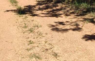 Imagem 5: Corumbá 4 poucos vizinhos