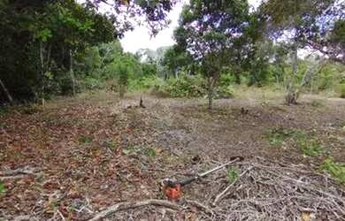 Imagem: O terreno à venda possui e está localizado em Arraial D Ajuda