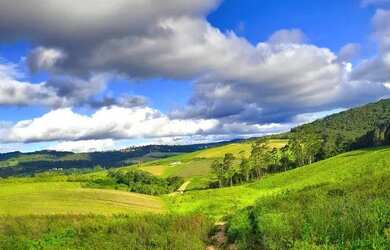 Imagem 5: Lote/Terreno para venda tem 500 metros quadrados em Jardim Helena - Carapicuíba...