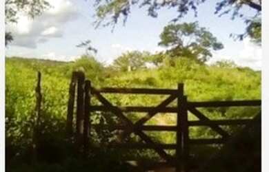 Imagem 2: Umbuzeiro/PB 65 Ha Por Apenas R$ 110 mil. Pechincha Total