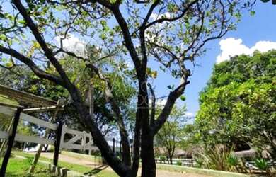 Imagem 9: Bragança Paulista - Chácara - Mãe dos Homens