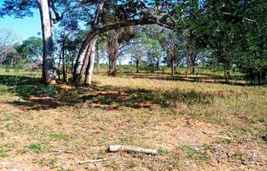 Imagem 6: Fazenda 193 Hectares Região De Carneirinho/MG