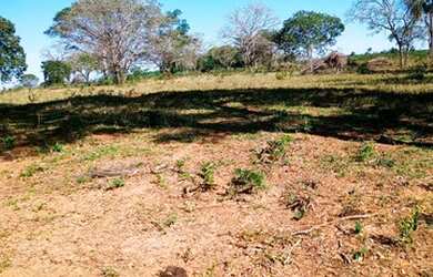 Imagem 4: Fazenda 193 Hectares Região De Carneirinho/MG