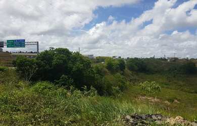 Imagem: O terreno possui 27000m² de Área e está localizado em Ceasa