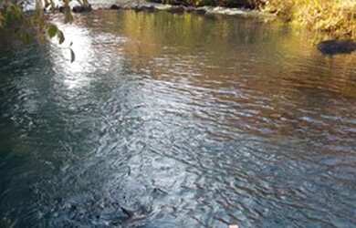 Imagem 1: Fazenda 193 Hectares Região De Carneirinho/MG