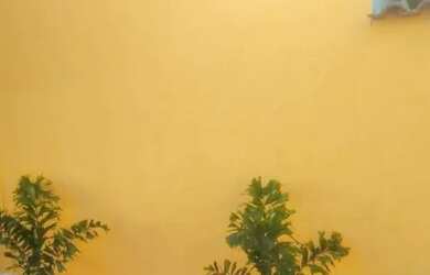 Imagem 1: Quitinete em Caxias