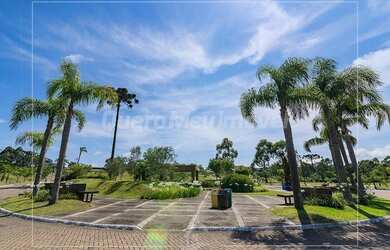 Imagem: O terreno à venda possui e está localizado em São Ciro