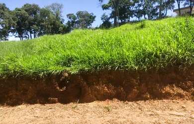 Imagem: O terreno possui 600m² de Área e está localizado em Centro