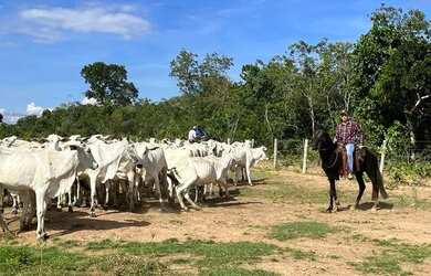Imagem: A fazenda possui 478.000m² de Área e está localizado em