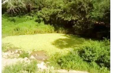 Imagem 5: Umbuzeiro/PB 65 Ha Por Apenas R$ 110 mil. Pechincha Total