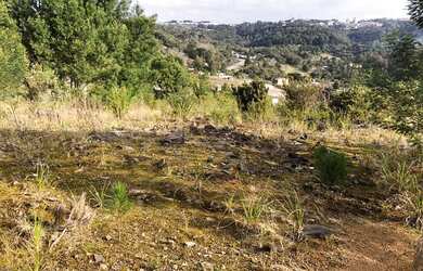 Imagem: O terreno possui 314m² de Área e está localizado em Ana Rech