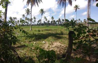 Imagem: A fazenda possui 50000m² de Área e está localizado em Conde