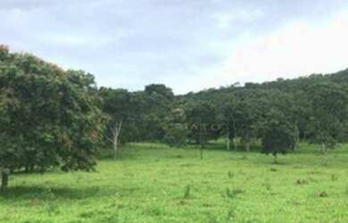 Imagem 9: Fazenda à venda, 45 Alqueires por R$ 7.000.000 - Zona Rural - Pirenópolis/GO