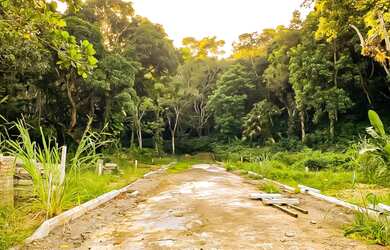 Imagem 7: Terreno com 400m² à venda por 145mil na Ilha de Guaratiba - Rio de Janeiro