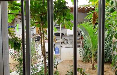 Imagem 3: Casa para alugar em batanha Alagoas