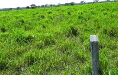 Imagem: A fazenda e está localizado em Castanhal, PA à venda por R$950.000