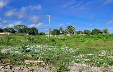 Imagem 10: Loteamento Vivencie Camara Perto Do Restaurante Benjamim Pronto Para Construir...