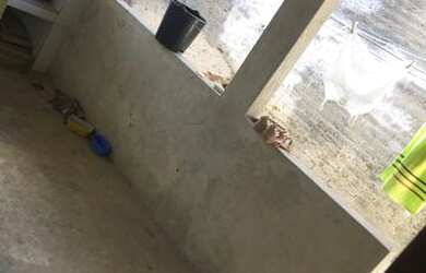 Imagem 7: Aluga-se casa 300 reais. 1 Vaga na garageme2 Dormitórios