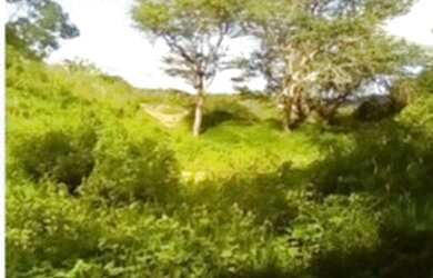 Imagem 4: Umbuzeiro/PB 65 Ha Por Apenas R$ 110 mil. Pechincha Total