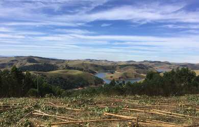 Imagem 5: Terreno maravilhoso. 1.000m² de Área