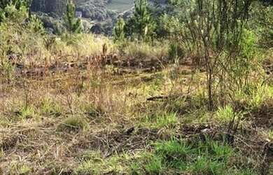 Imagem 4: CAXIAS DO SUL - Terreno Padrão - Ana Rech