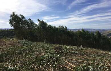 Imagem 7: Terreno maravilhoso. 1.000m² de Área