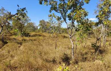 Imagem: A chácara possui 96800m² de Área e está localizado em Porto