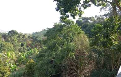 Imagem 15: Lindo Sítio no Bairro da Maravilha - Paty do Alferes/RJ