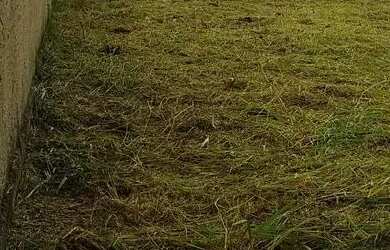 Imagem: O terreno possui 300m² de Área e está localizado em Alto