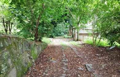 Imagem 6: Lindo Sítio no Bairro da Maravilha - Paty do Alferes/RJ