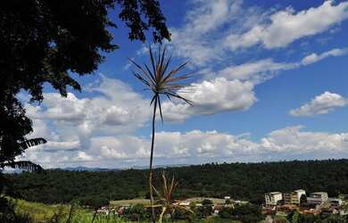 Imagem: A casa possui 3 Dormitórios, 2 Banheiros e 292m² de Área