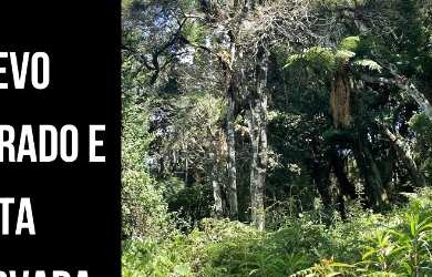 Imagem 4: Morro da Igreja. 33.000m² de Área