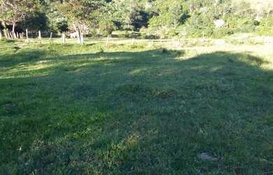 Imagem 10: Fazenda produtiva. 