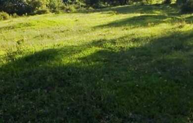 Imagem 4: Fazenda produtiva. 